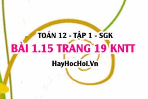 Bài 1.15 trang 19 Toán 12 tập 1 Kết nối tri thức